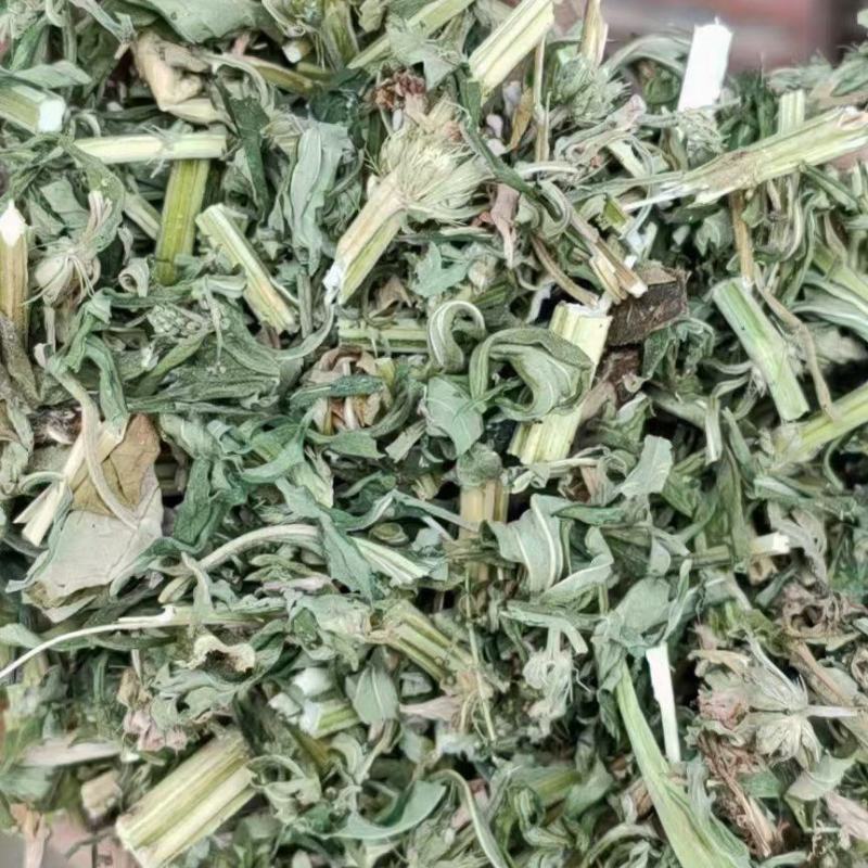 益母草新货产地鲜货干货