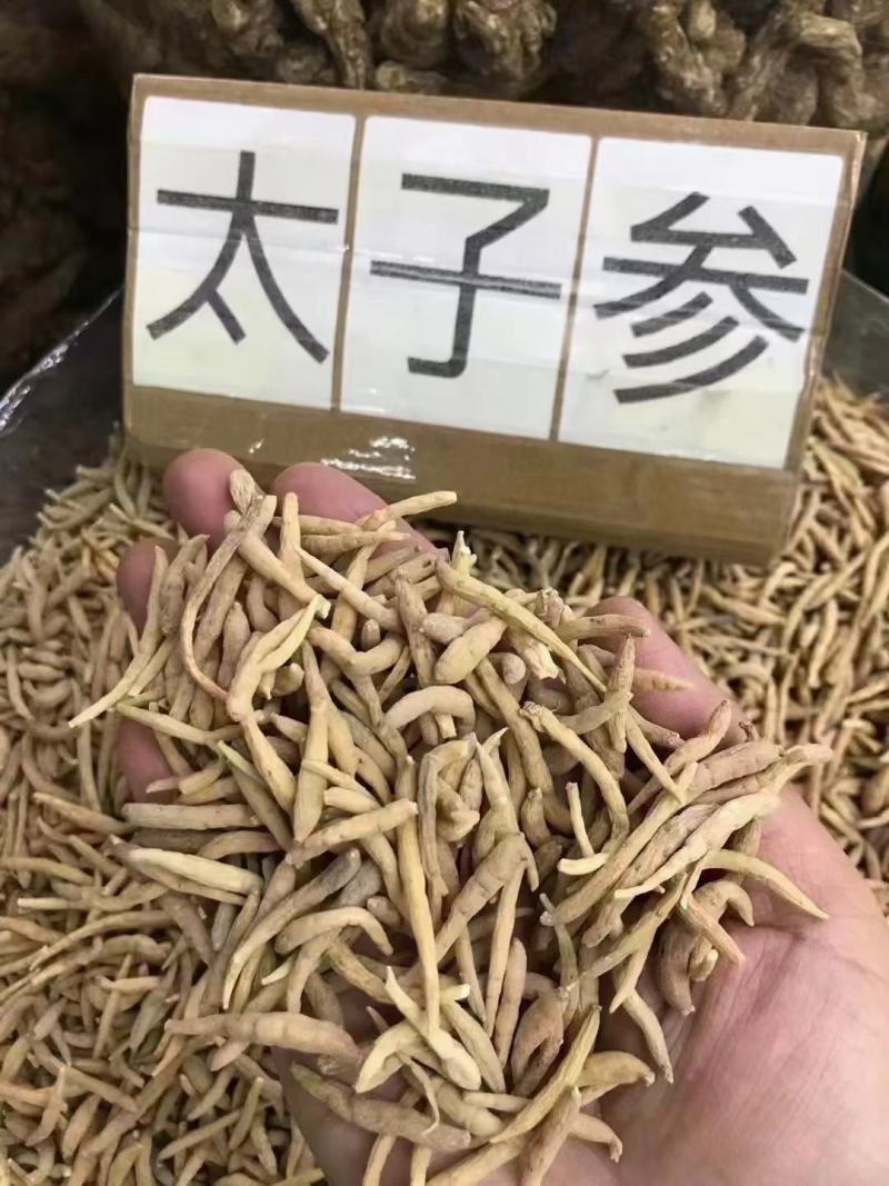 太子参太子参中药材孩儿参娃娃参贵州太子参新货上市农家自产