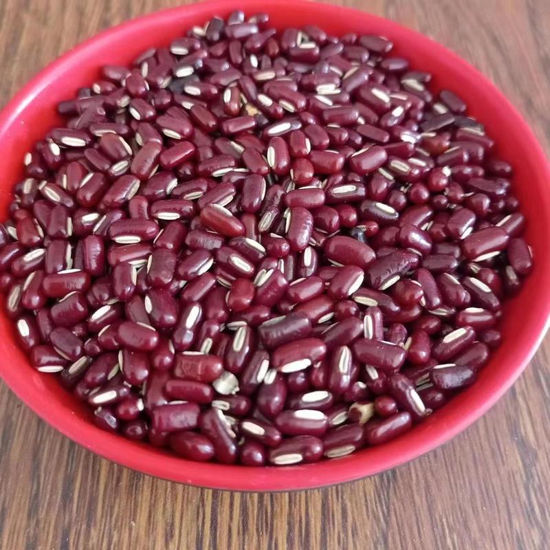 赤小豆，优选红豆，颗粒饱满，一手货源，可视频看货验货