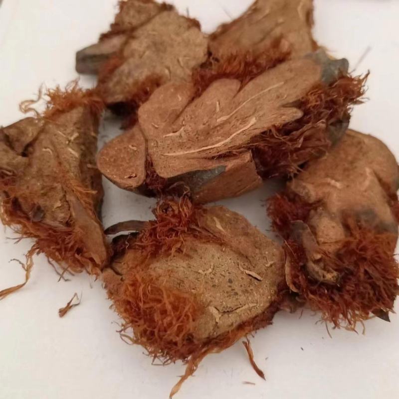 【贯众】棉马贯众一手货源保质保量，欢迎咨询