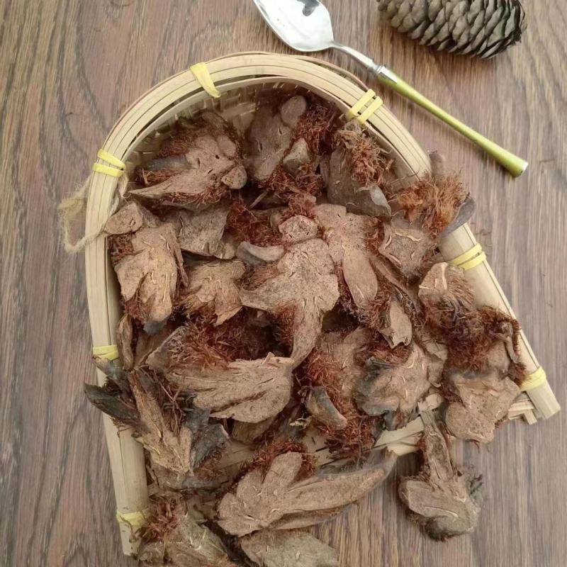 【贯众】棉马贯众一手货源保质保量，欢迎咨询