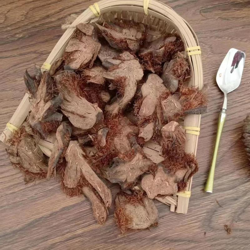 【贯众】棉马贯众一手货源保质保量，欢迎咨询