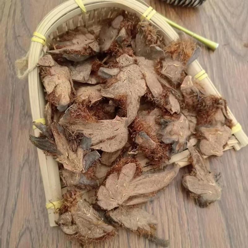 【贯众】棉马贯众一手货源保质保量，欢迎咨询