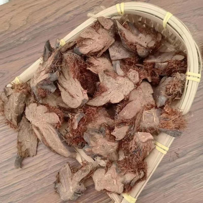 【贯众】棉马贯众一手货源保质保量，欢迎咨询