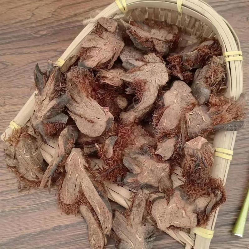 【贯众】棉马贯众一手货源保质保量，欢迎咨询