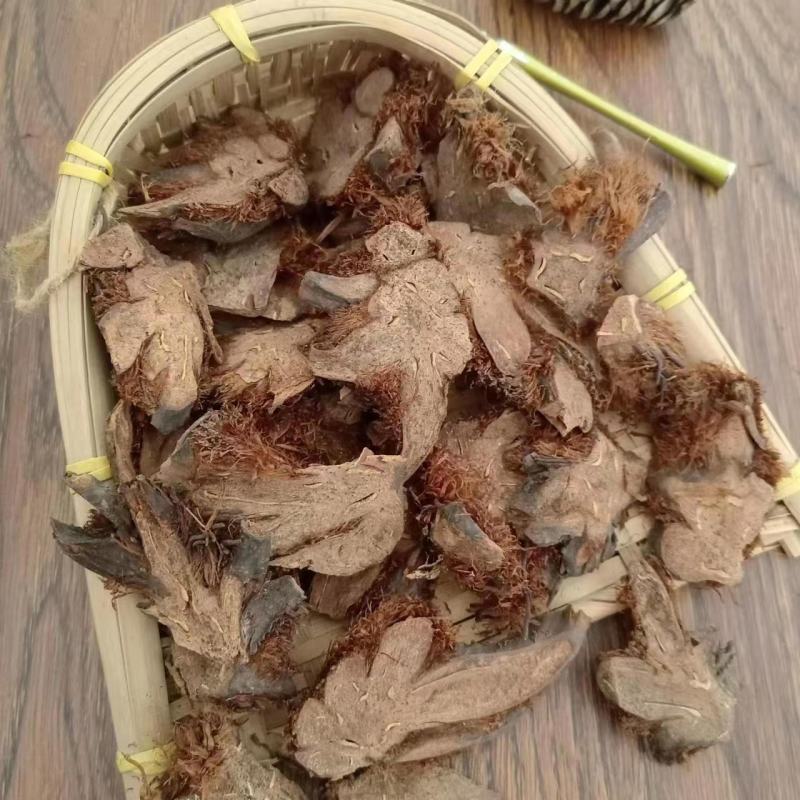 【贯众】棉马贯众一手货源保质保量，欢迎咨询