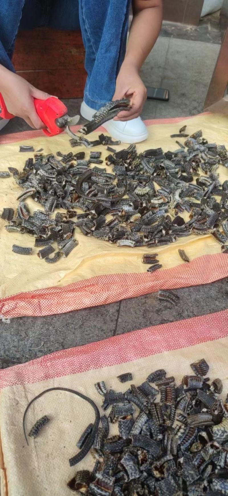 中药材乌梢蛇乌蛇正品特级四川乌梢蛇酒乌梢蛇干包邮