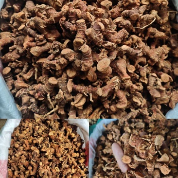 无硫微硫纯干高良姜/新鲜高良姜/小良姜/南姜片新货上市