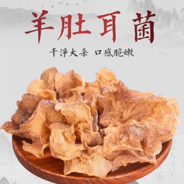 羊肚耳新鲜包邮