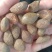 胖大海泡水散装搭甘草罗汉果金银花菊花茶炎咽茶组合凉茶