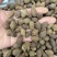 胖大海泡水散装搭甘草罗汉果金银花菊花茶炎咽茶组合凉茶