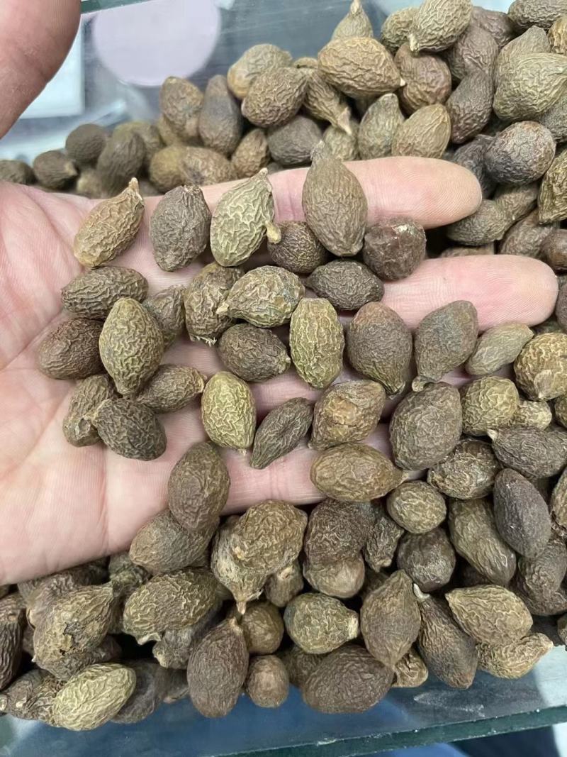 胖大海泡水散装搭甘草罗汉果金银花菊花茶炎咽茶组合凉茶