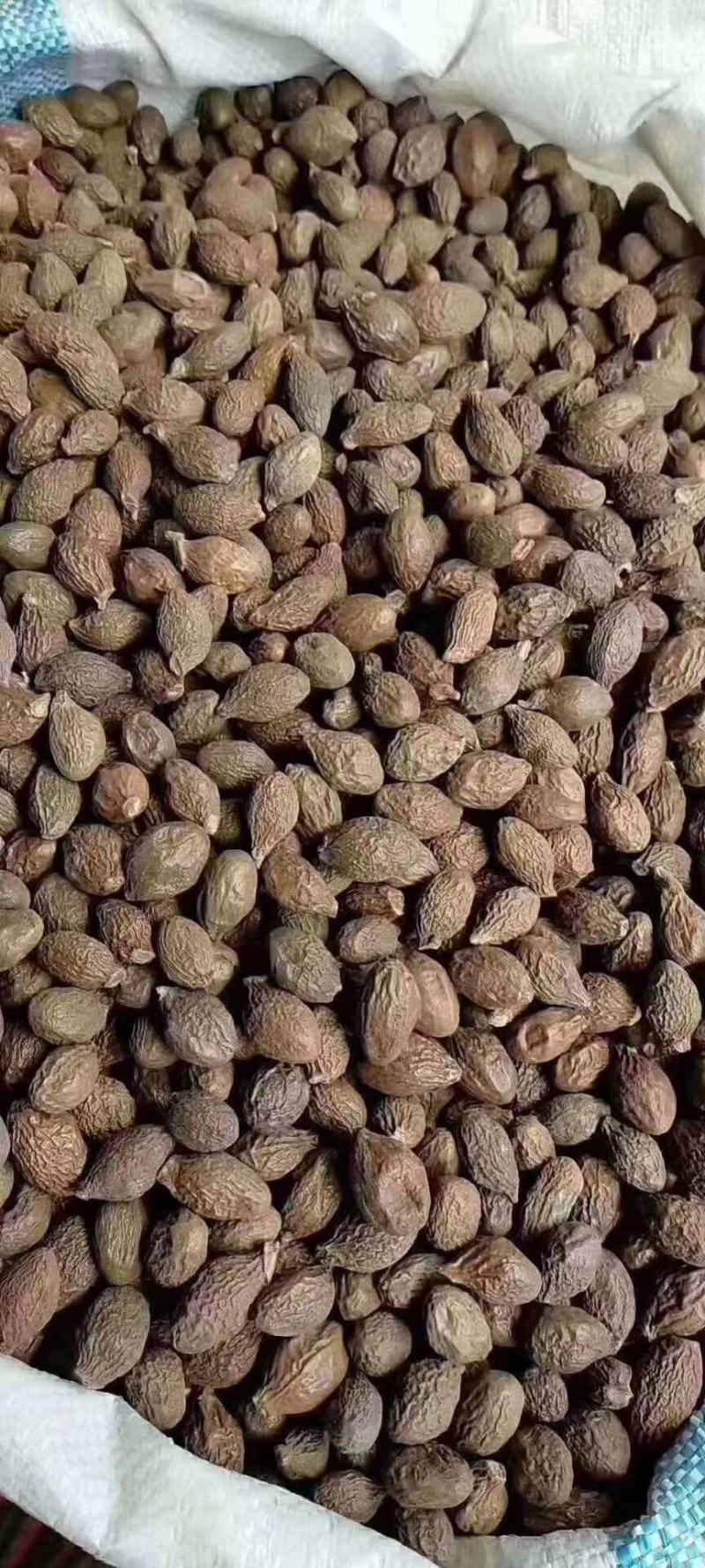 胖大海泡水散装搭甘草罗汉果金银花菊花茶炎咽茶组合凉茶