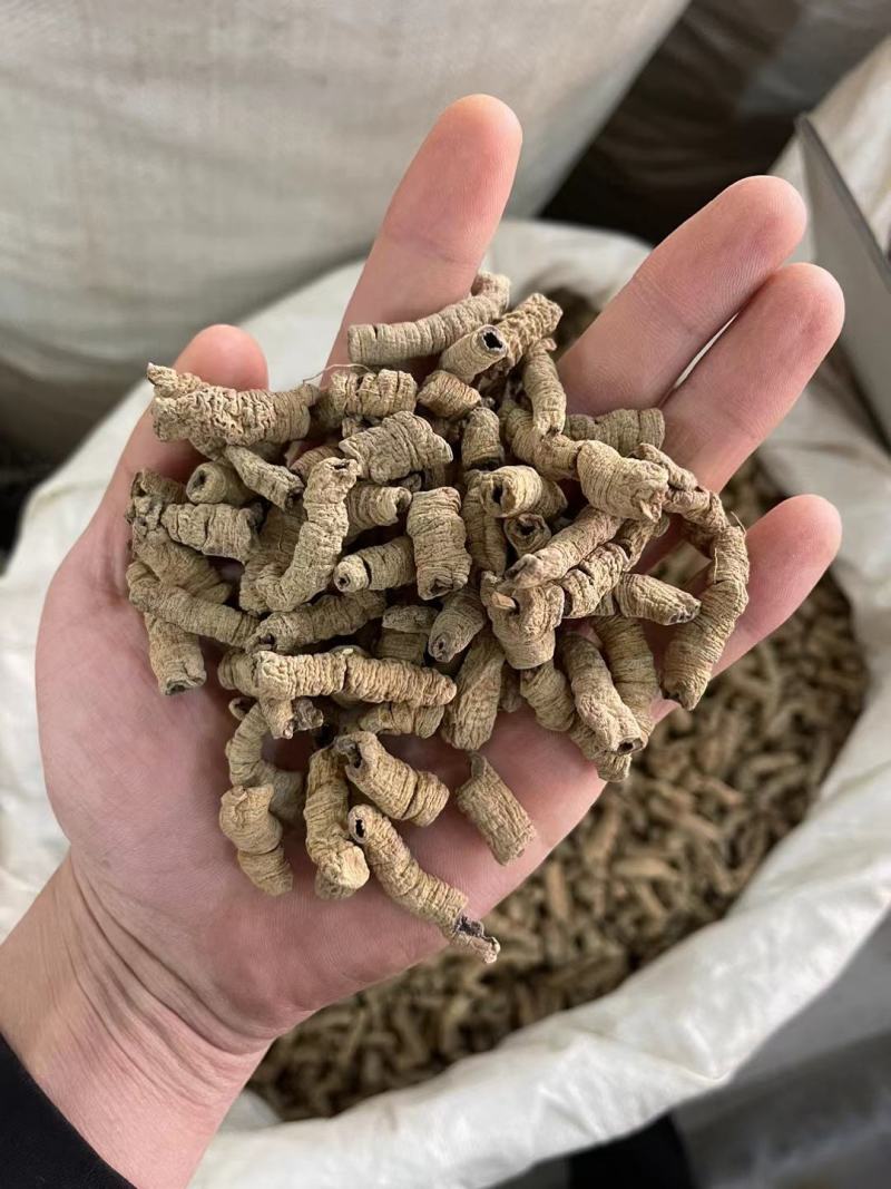 广东巴戟天中药材搭配锁阳肉苁蓉片杜仲男性泡酒泡水新货上市