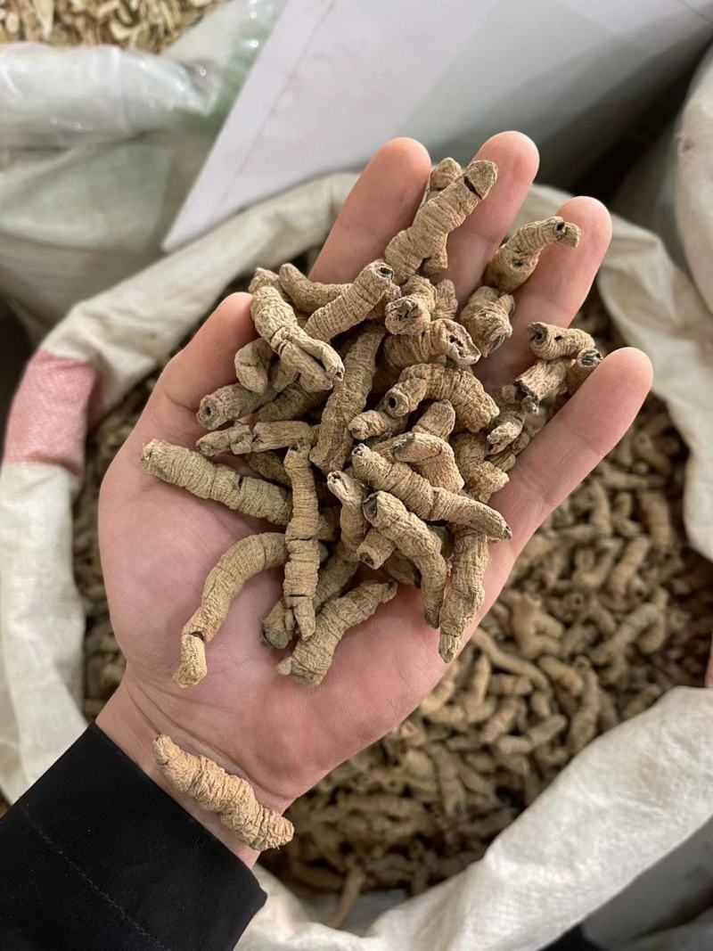 广东巴戟天中药材搭配锁阳肉苁蓉片杜仲男性泡酒泡水新货上市