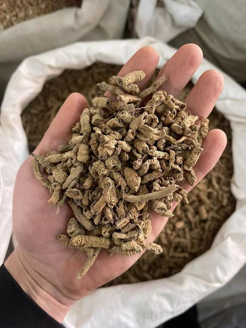 广东巴戟天中药材搭配锁阳肉苁蓉片杜仲男性泡酒泡水新货上市