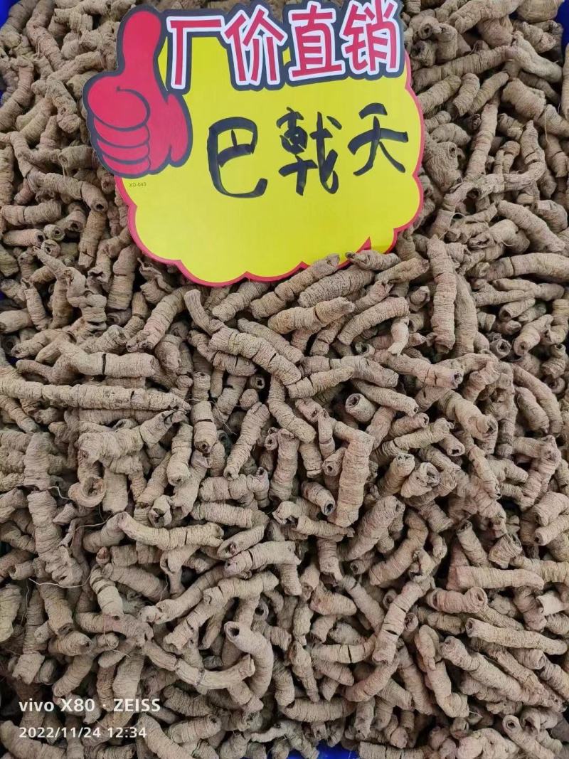 广东巴戟天中药材搭配锁阳肉苁蓉片杜仲男性泡酒泡水新货上市