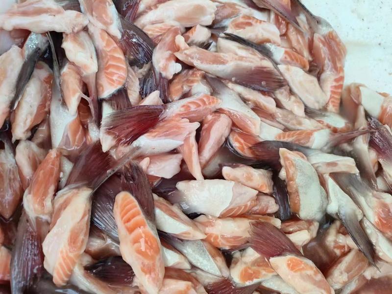 三文鱼，鱼头，鱼排，鱼边，鲑鱼新鲜，适合烧烤，红烧，香煎