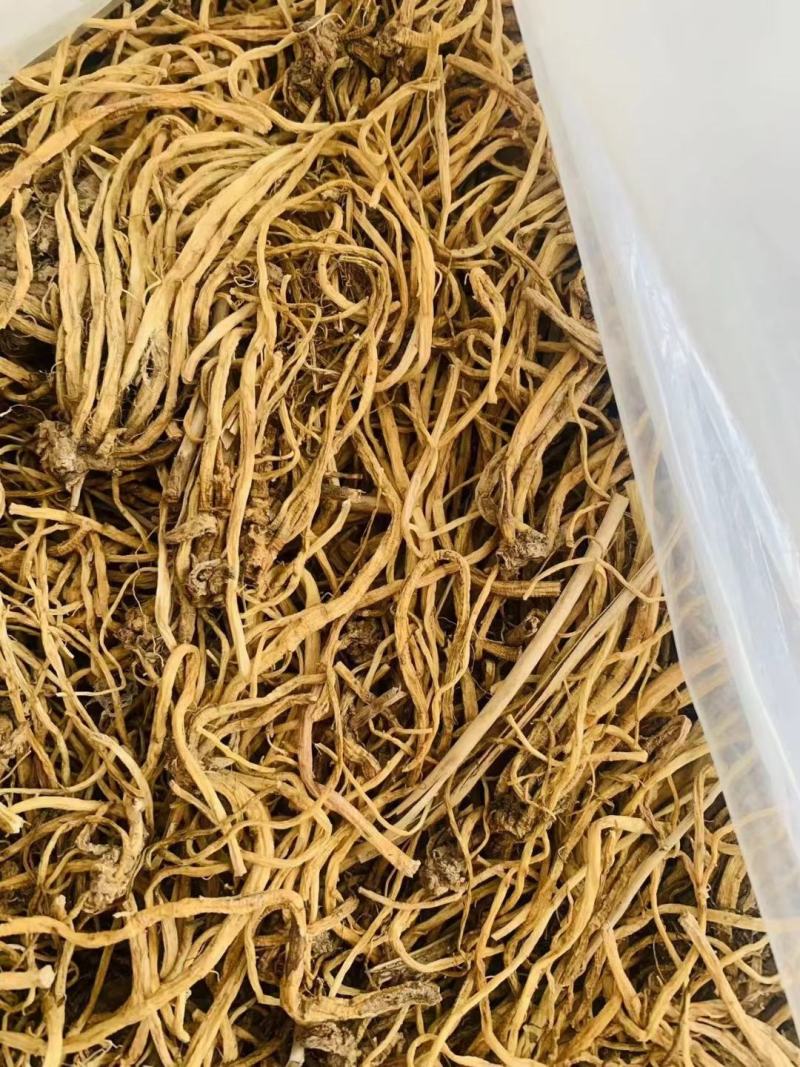 龙胆龙胆草东北龙胆云南龙胆北龙胆南龙胆
