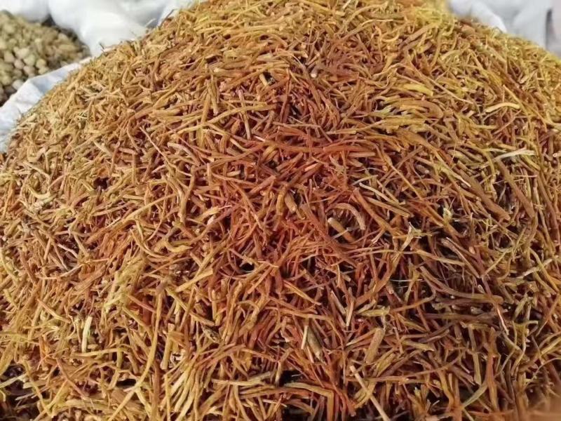龙胆龙胆草东北龙胆云南龙胆北龙胆南龙胆