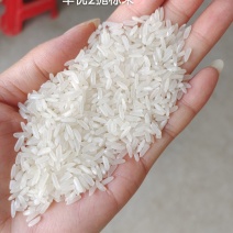 大米以及大米副产品