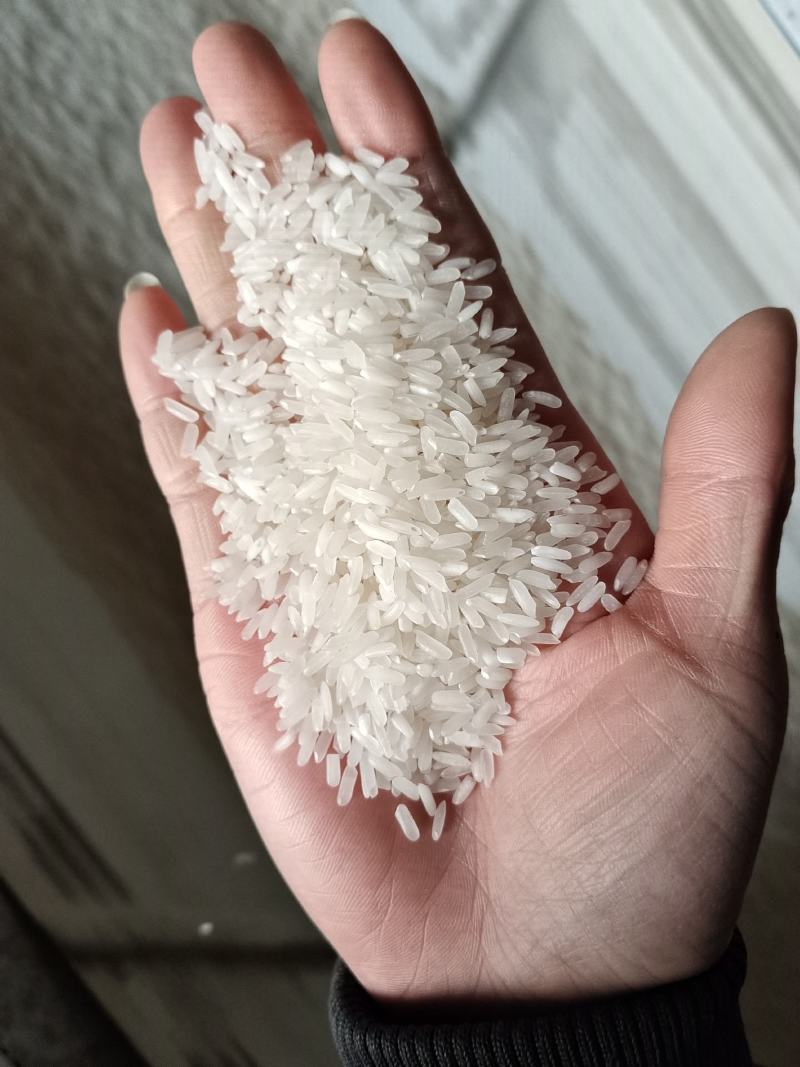 大米以及大米副产品