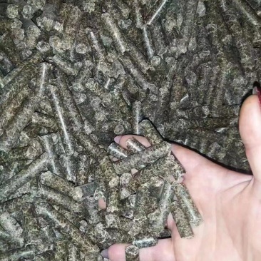 俄罗斯进口甜菜粕现货一手货源批发
