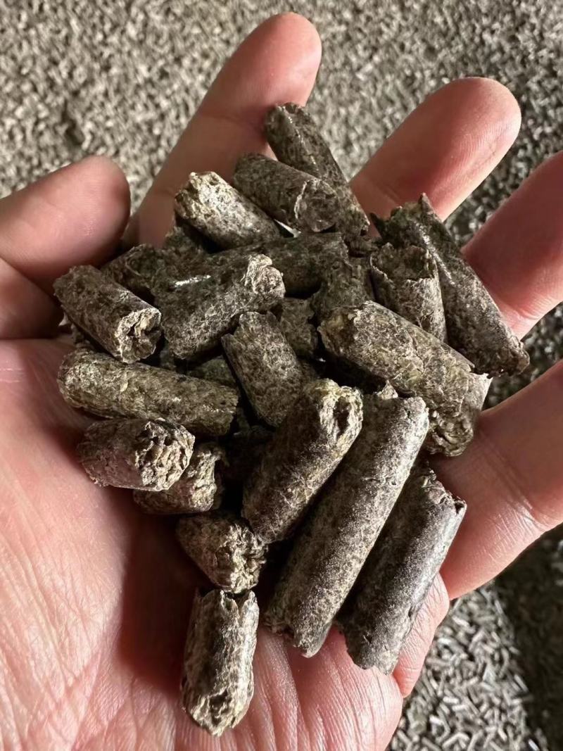 俄罗斯进口甜菜粕现货一手货源批发