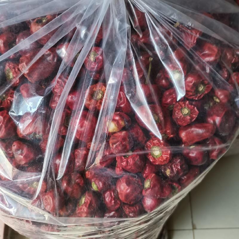 河南精品香辣灯笼椒，草莓椒，当季新货，货量充足，品质保证