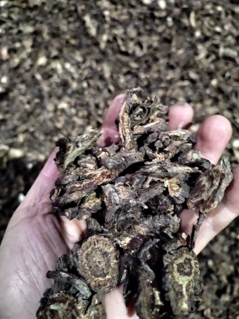中药材羌活正品蚕羌片川羌竹节羌正品四川货散装多规格