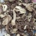 四川独活片独摇草可搭配羌活新货味纯无硫全国发货按方抓药