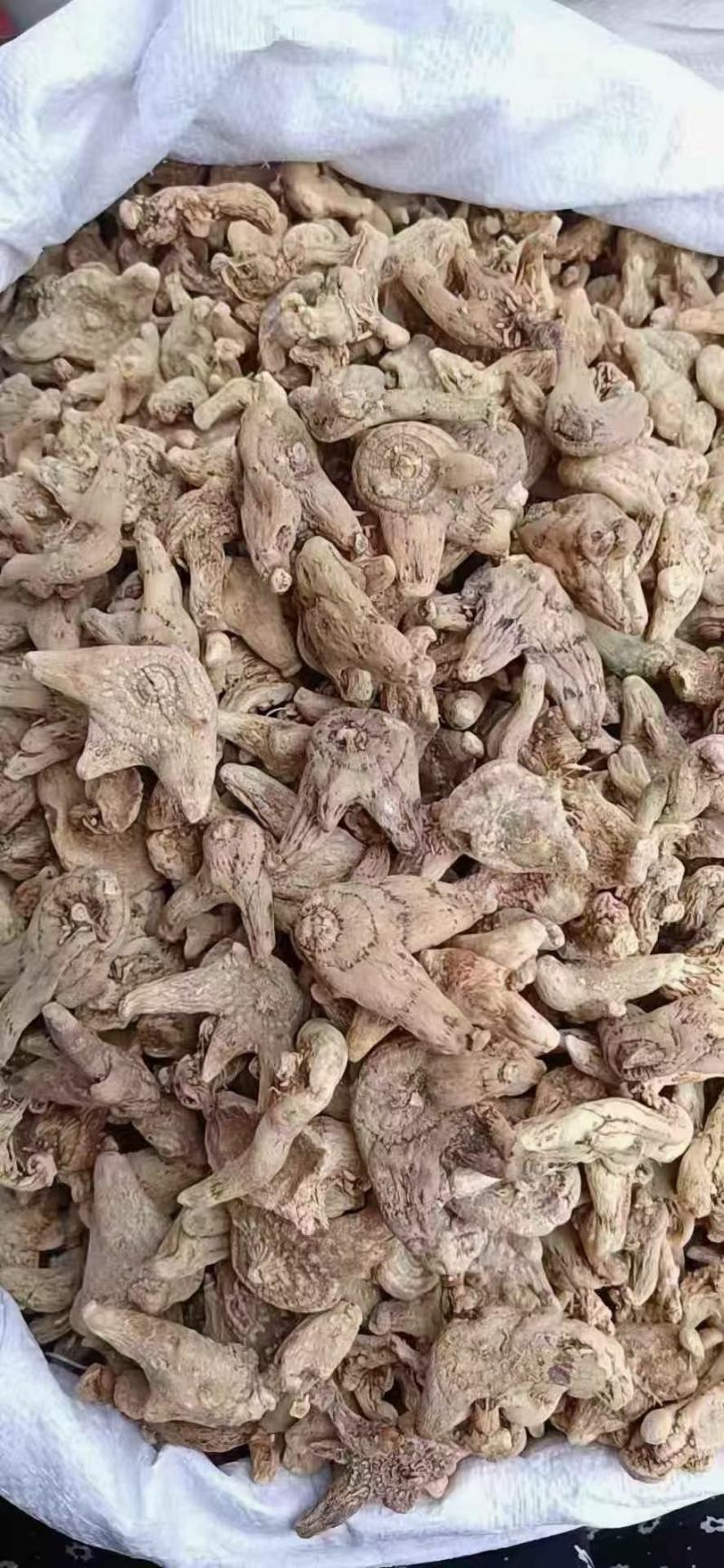 白芨冰球子