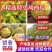 源头供应西瓜甜度高品质好
