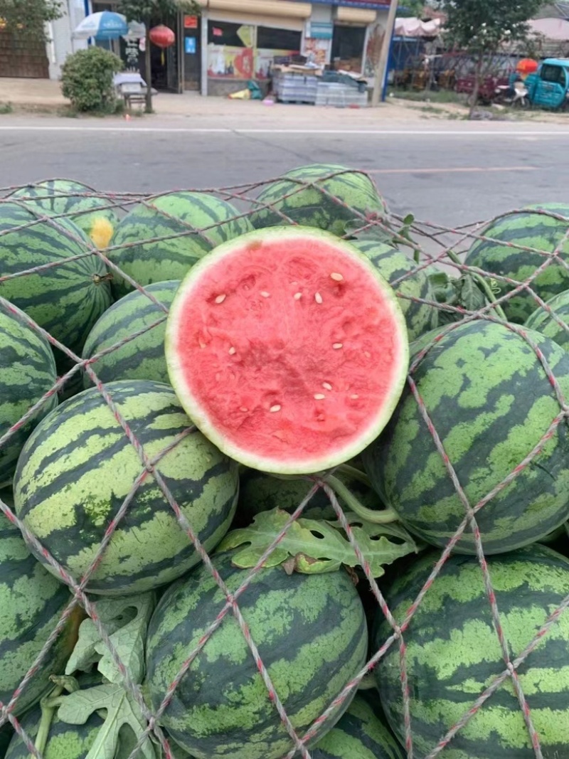 陕西精品美都，全国代办，产地直供，西瓜大量走货
