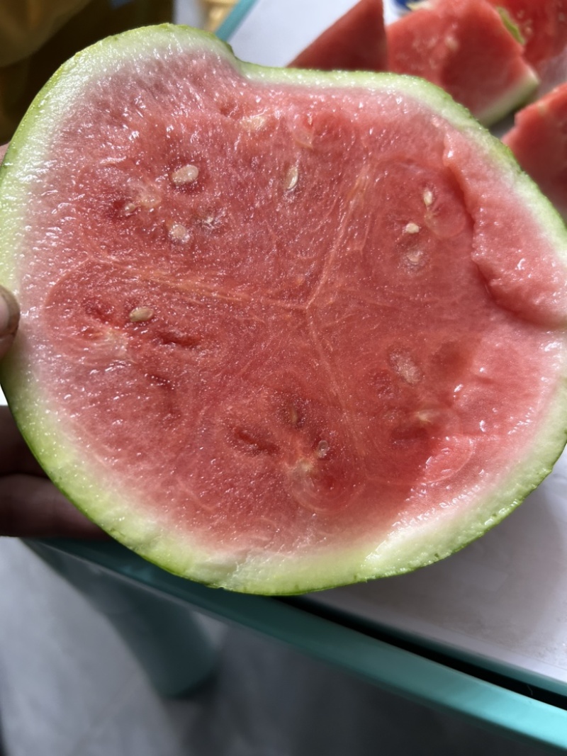 陕西精品美都，全国代办，产地直供，西瓜大量走货