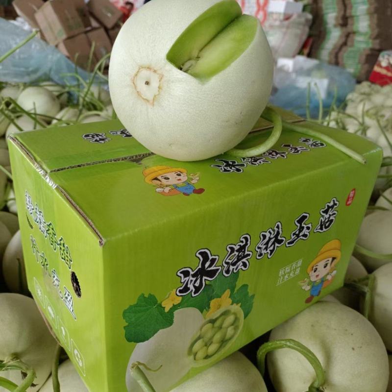 玉菇甜瓜，山东聊城莘县冰激凌玉菇甜瓜，奶香蜜甜瓜。