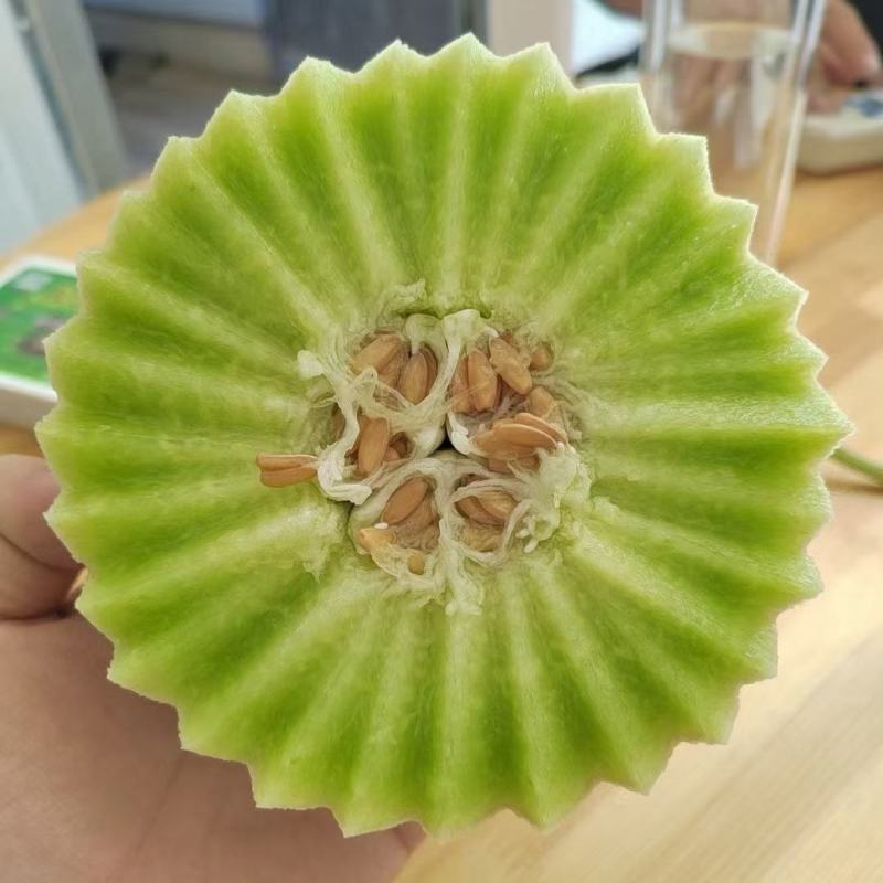 玉菇甜瓜，山东聊城莘县冰激凌玉菇甜瓜，奶香蜜甜瓜。