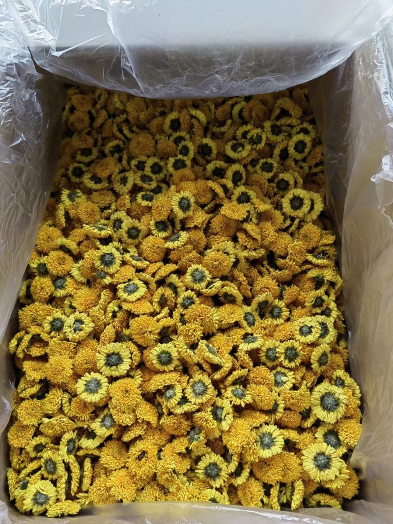 婺源黄菊黄山贡菊北京胎菊泡水泡茶新货上市全国发货包邮