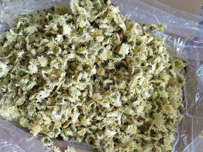 婺源黄菊黄山贡菊北京胎菊泡水泡茶新货上市全国发货包邮