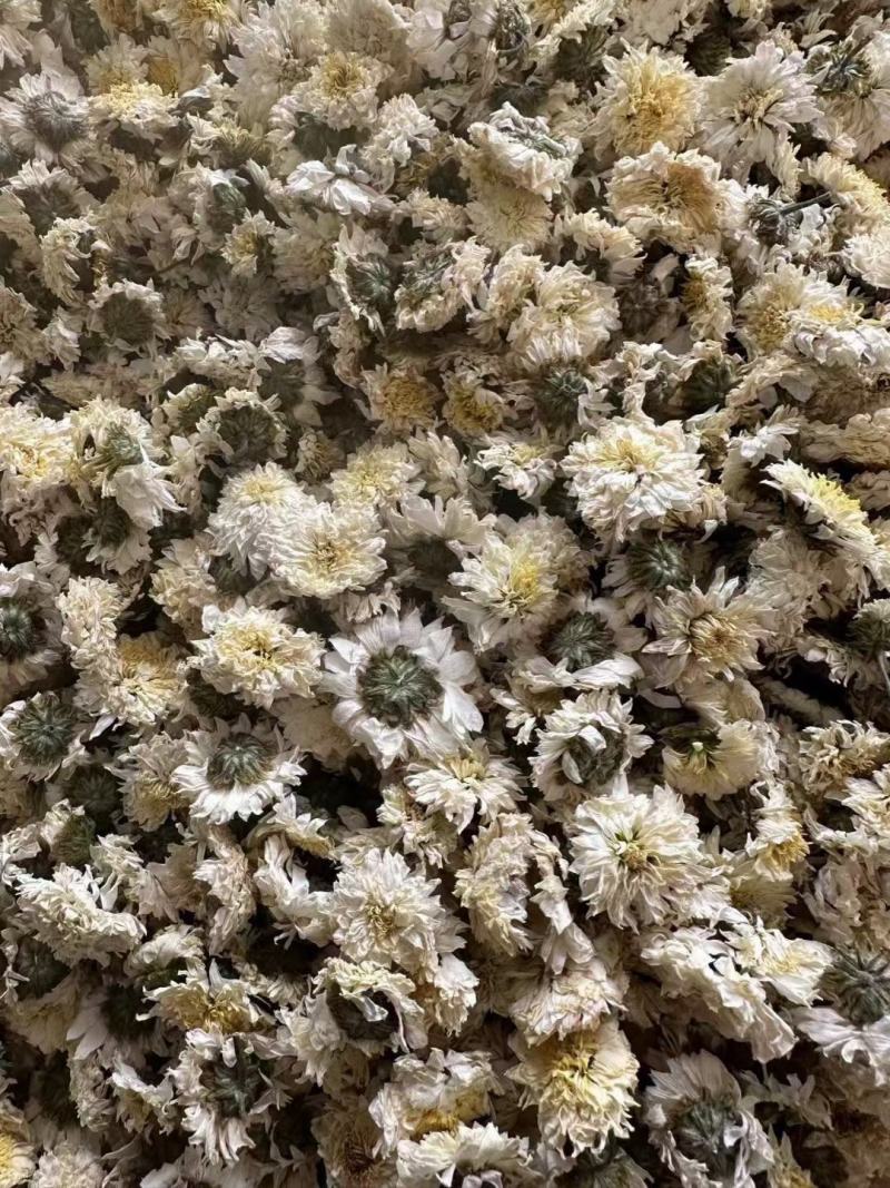 婺源黄菊黄山贡菊北京胎菊泡水泡茶新货上市全国发货包邮
