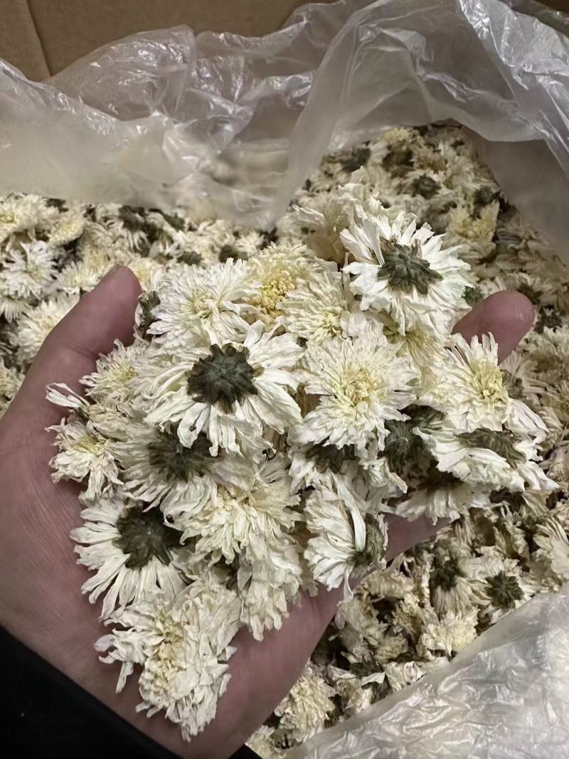 婺源黄菊黄山贡菊北京胎菊泡水泡茶新货上市全国发货包邮