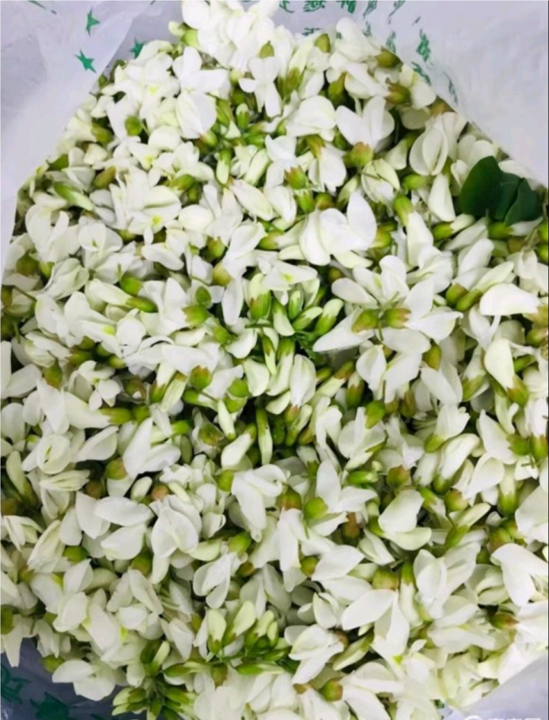 洋槐花农村手工摘货没有任何杂志