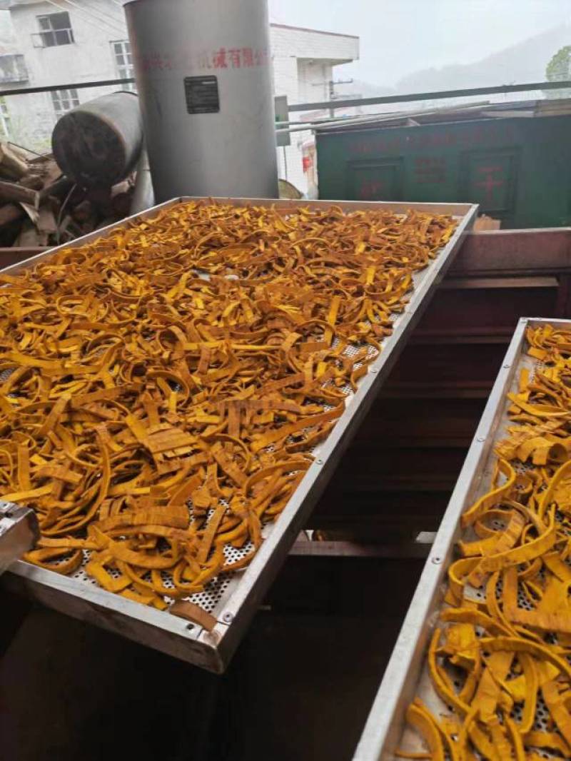 黄柏~黄柏皮~黄柏丝……湖南精品全干黄柏皮~丝……含量高