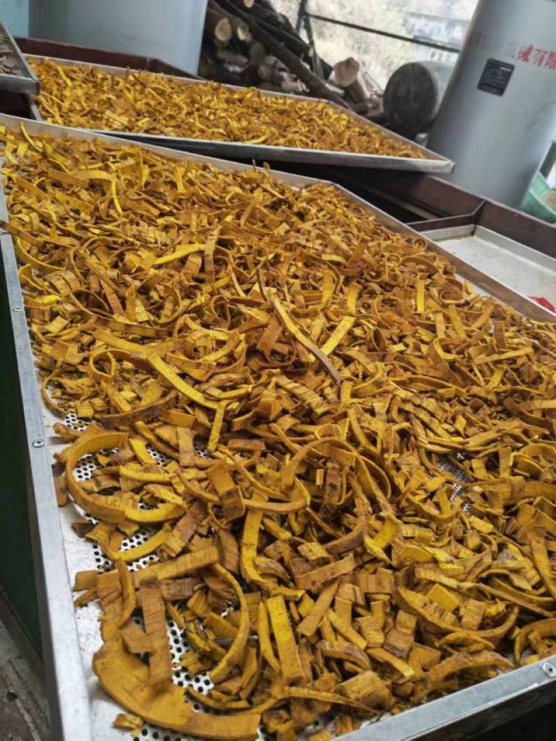 黄柏~黄柏皮~黄柏丝……湖南精品全干黄柏皮~丝……含量高