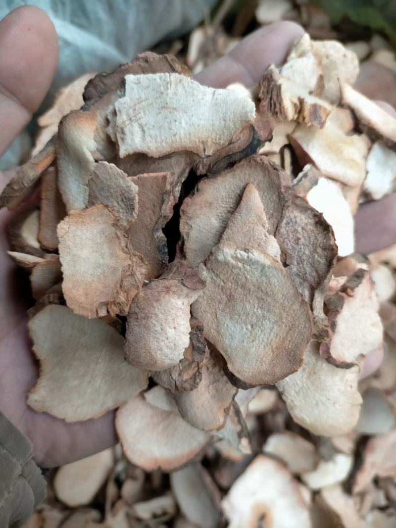 粉质土茯苓广西野生新鲜干货无硫中药材煲汤泡茶