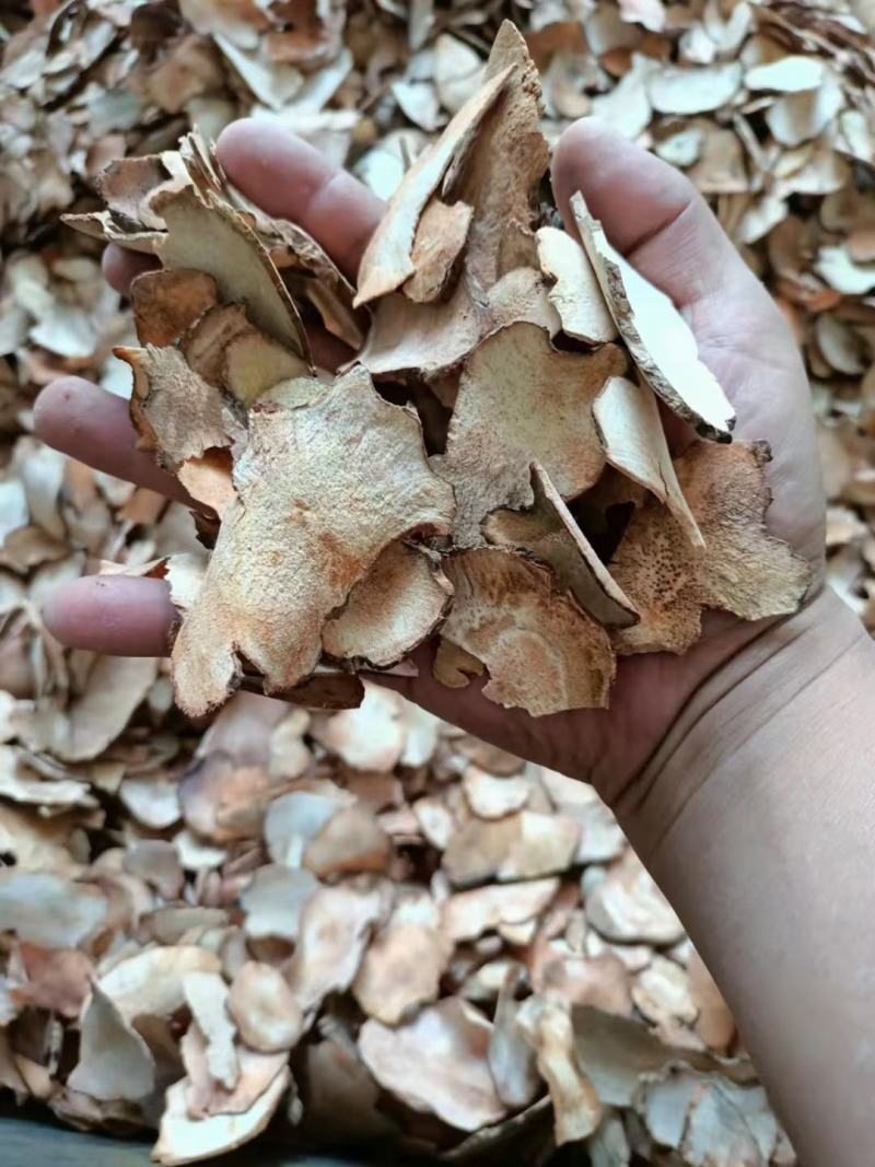 粉质土茯苓广西野生新鲜干货无硫中药材煲汤泡茶