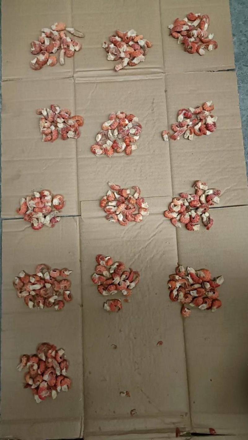 3级龙虾尾