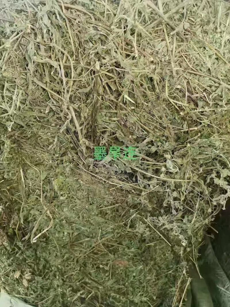 墨旱莲