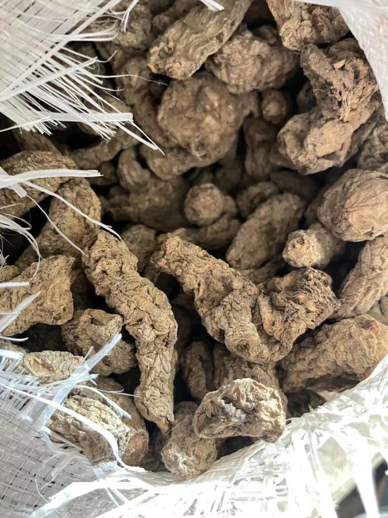 生地黄中药材怀生地中药生地片生地熟地焦作生地黄泡茶泡水