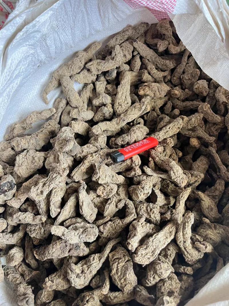 生地黄中药材怀生地中药生地片生地熟地焦作生地黄泡茶泡水